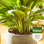 POKON GROENE PLANTEN VOEDING 500 ML