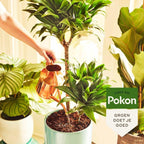 KAMERPLANTEN VOEDING 500 ML