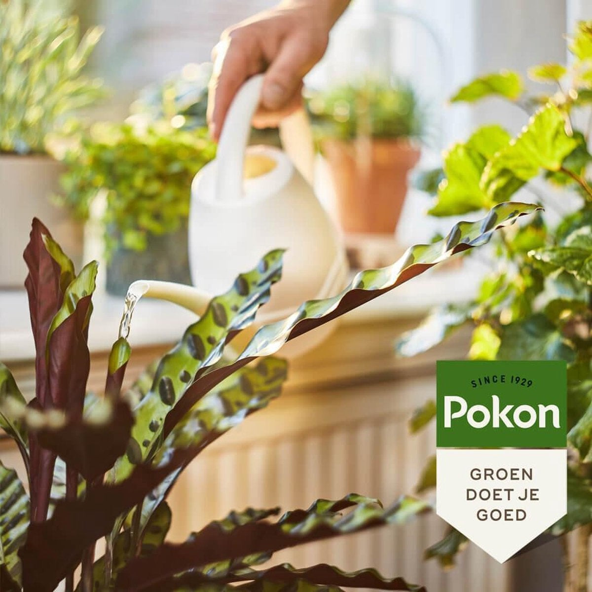 BIO KAMERPLANTEN VOEDING 500 ML