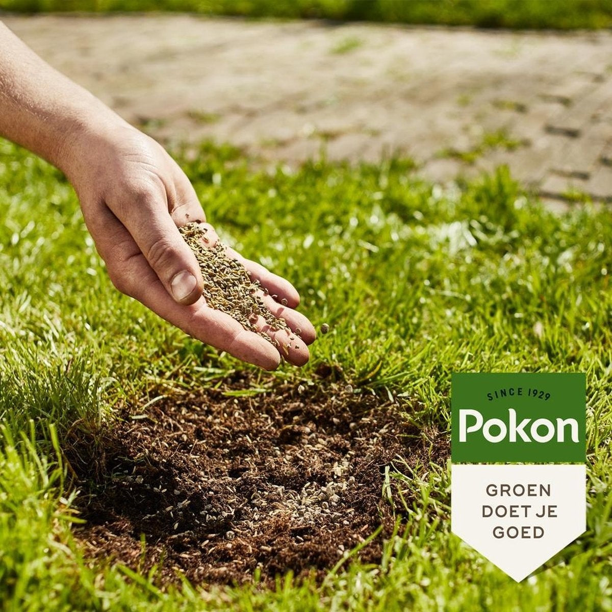  KALE PLEKKEN HERSTELLER 200 GRAM