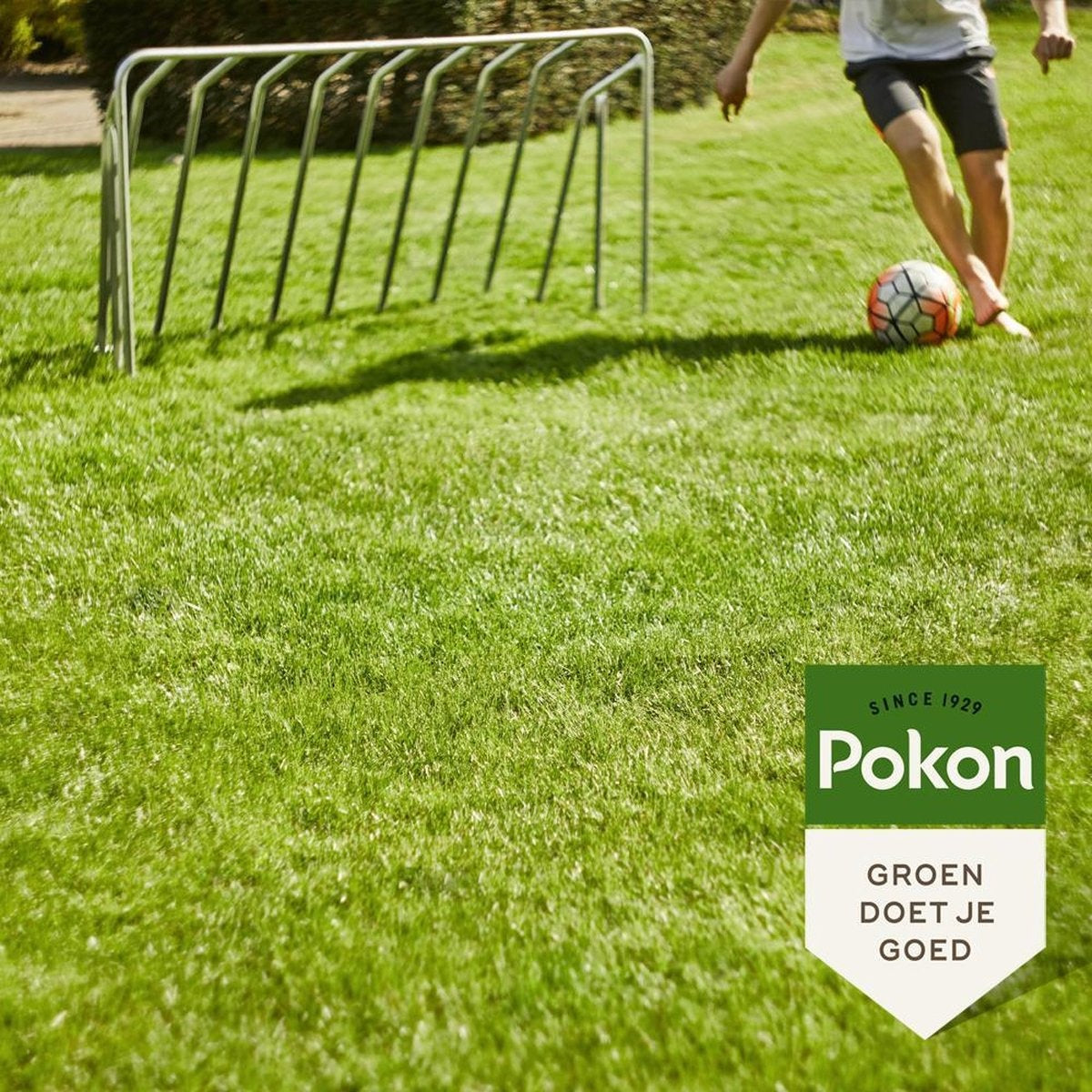 GRASZAAD INZAAI 1 KG