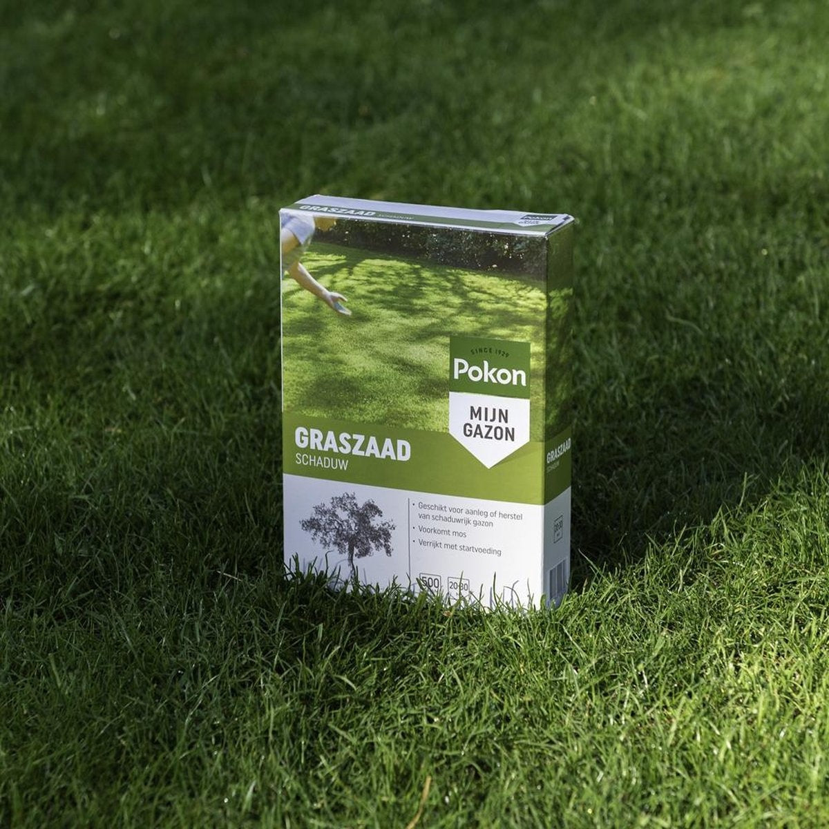 GRASZAAD SCHADUW 250 GRAM