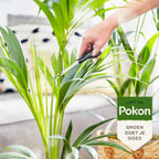  BIO PALM VOEDING 250 ML