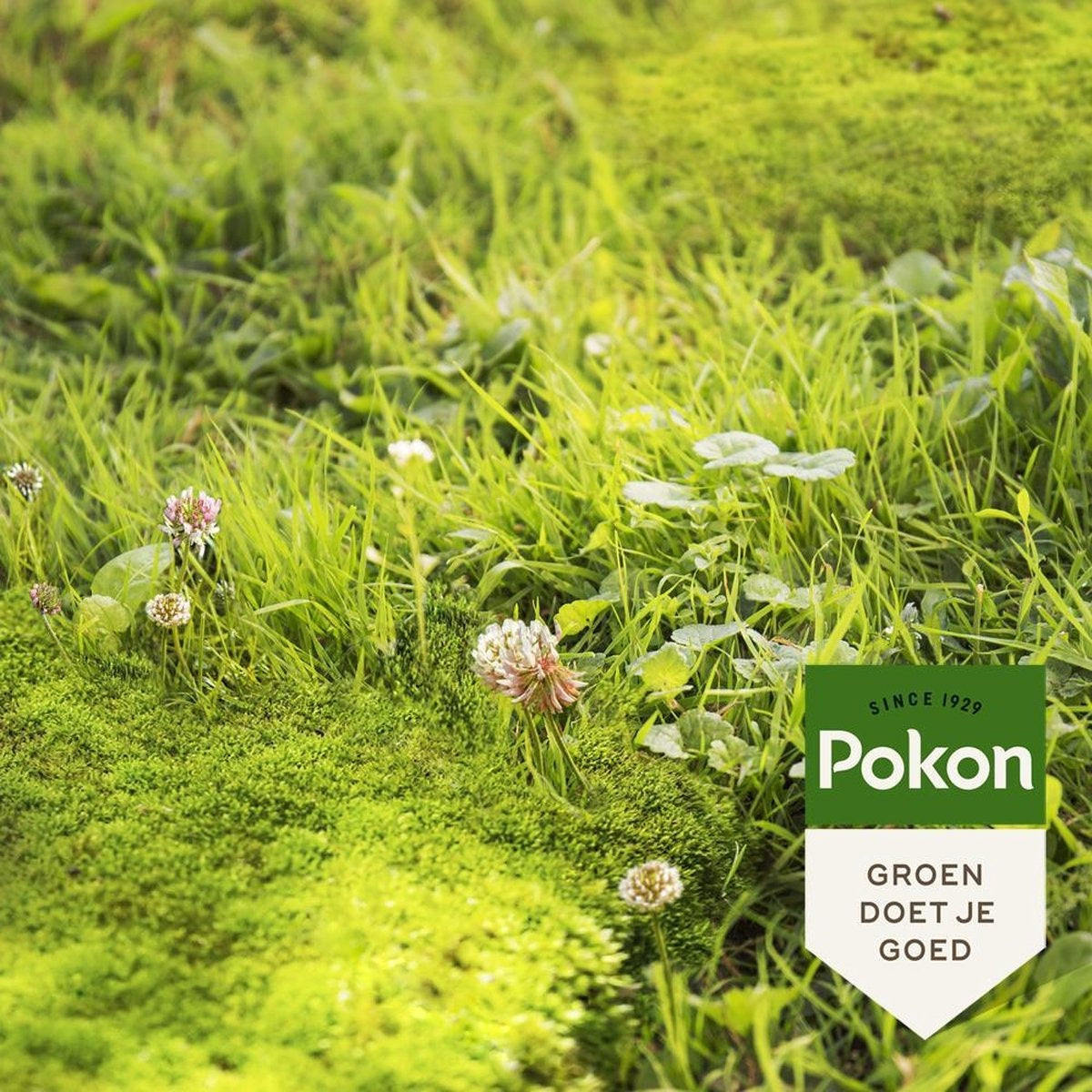 MOS EN ONKRUID WEG! (3-IN-1) 2750 GRAM 50M²