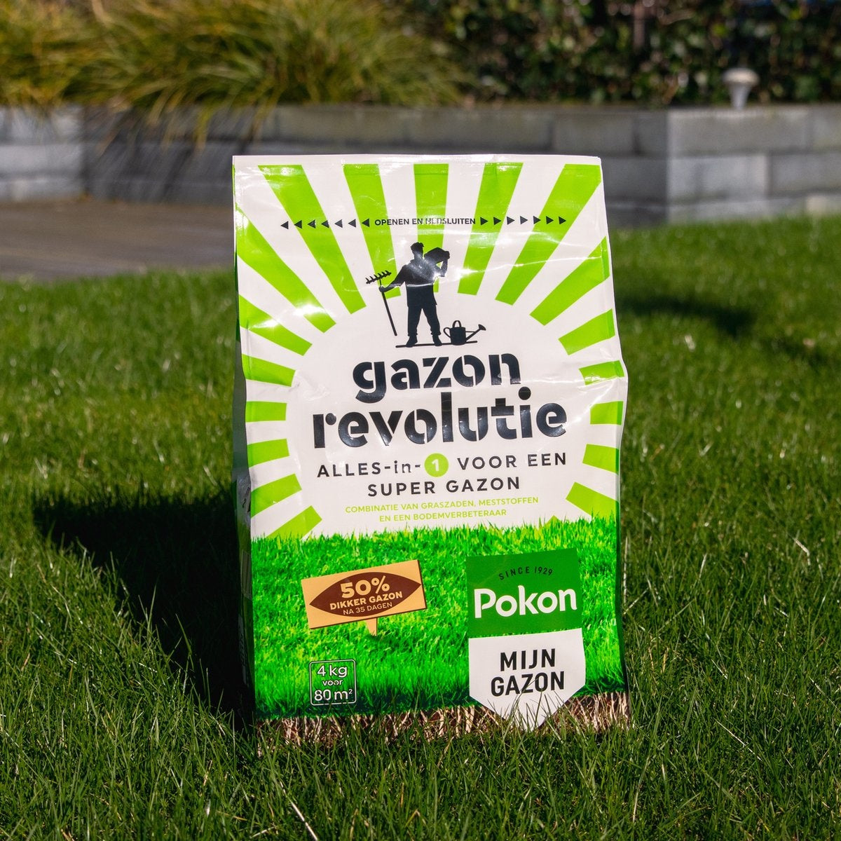  GAZON REVOLUTIE 4 KG