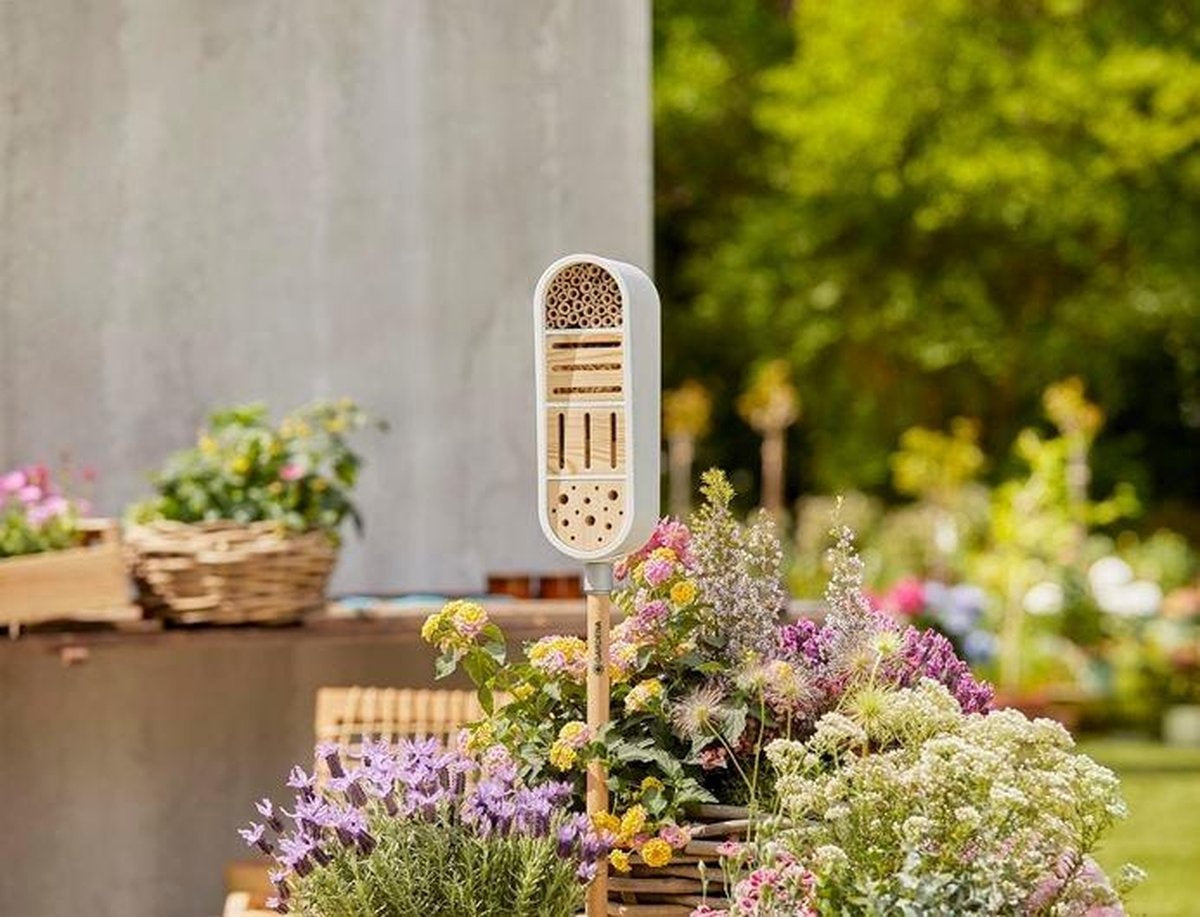  CLICKUP! INSECTEN HOTEL