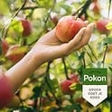  BIO FRUITBOMEN VOEDING 1KG
