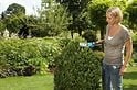  ACCUCUT LI SET GRAS- EN BUXUSSCHAAR