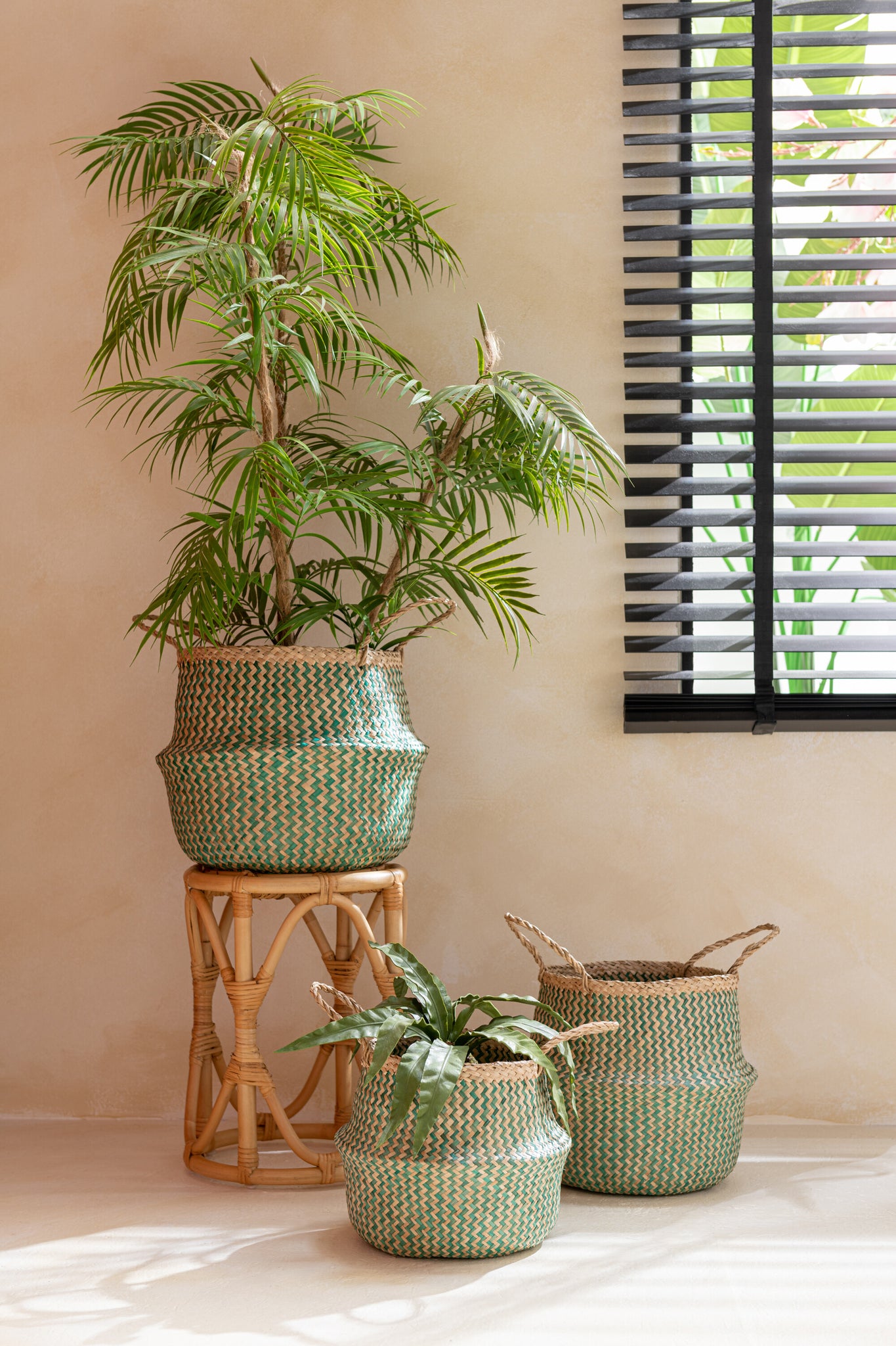 J-LINE KUNSTPLANT SNAKE PLANT BALL SOIL PLASTIC GROEN - Tuincentrum Lopik