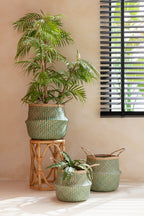 J-LINE KUNSTPLANT SNAKE PLANT BALL SOIL PLASTIC GROEN - Tuincentrum Lopik