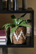 J-LINE KUNSTPLANT SNAKE PLANT BALL SOIL PLASTIC GROEN - Tuincentrum Lopik