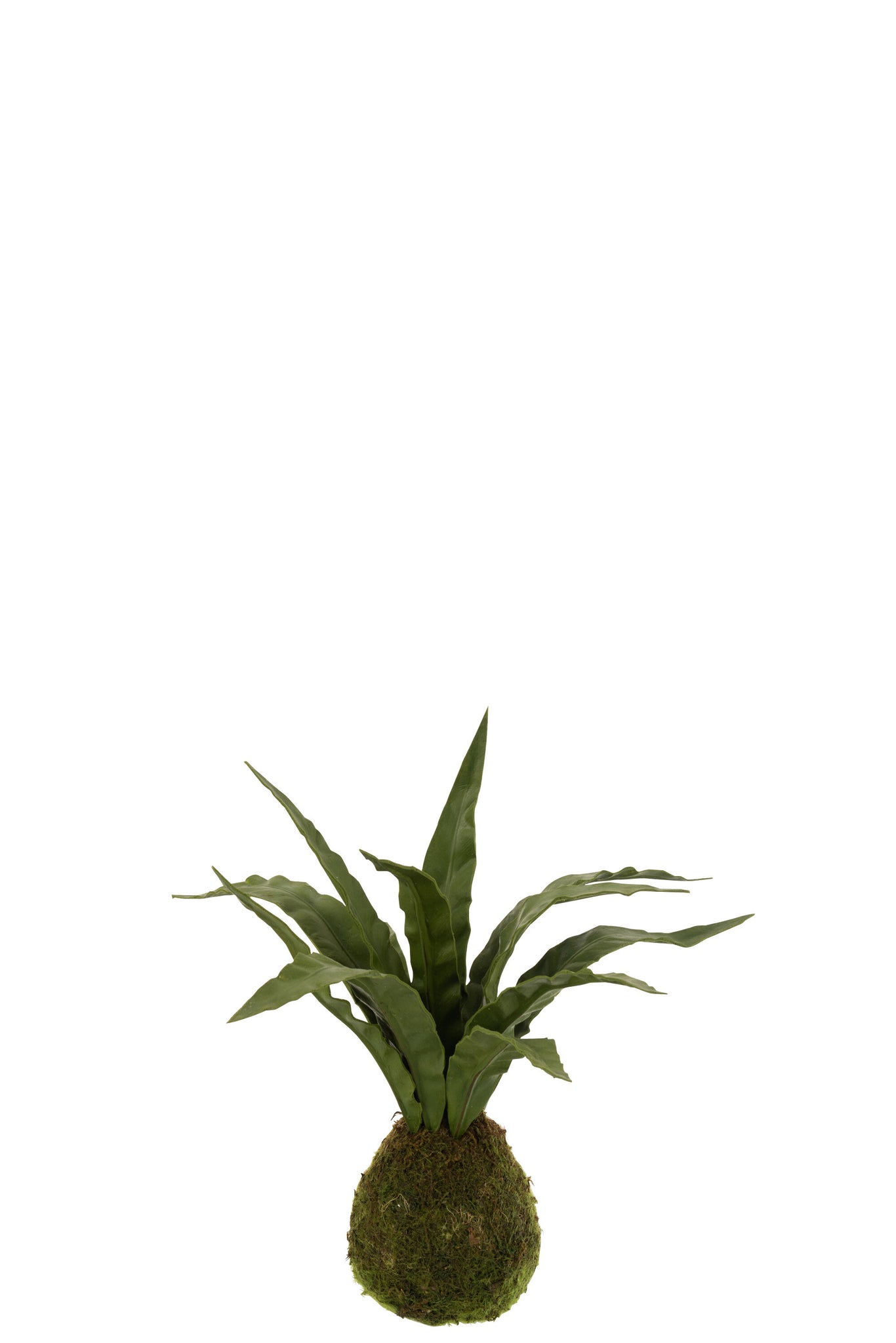 J-LINE KUNSTPLANT SNAKE PLANT BALL SOIL PLASTIC GROEN - Tuincentrum Lopik