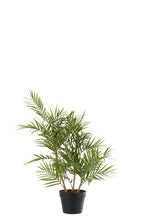 J-LINE KUNSTPLANT CHAMAEDOREA IN POT PLASTIC GROEN/ZWART SMALL 50X50X84CM - Tuincentrum Lopik