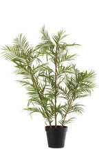 J-LINE KUNSTPLANT CHAMAEDOREA IN POT PLASTIC GROEN/ZWART LARGE 31X60X114CM - Tuincentrum Lopik