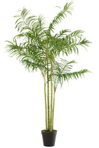 J-LINE KUNSTPLANT BAMBOO PALM IN POT GROEN/ZWART LARGE H175XB120CM - Tuincentrum Lopik