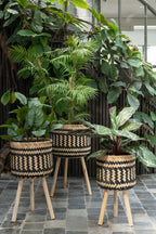 J-LINE KUNSTPLANT PAUWENPLANT IN PLASTIC POT GROEN - Tuincentrum Lopik