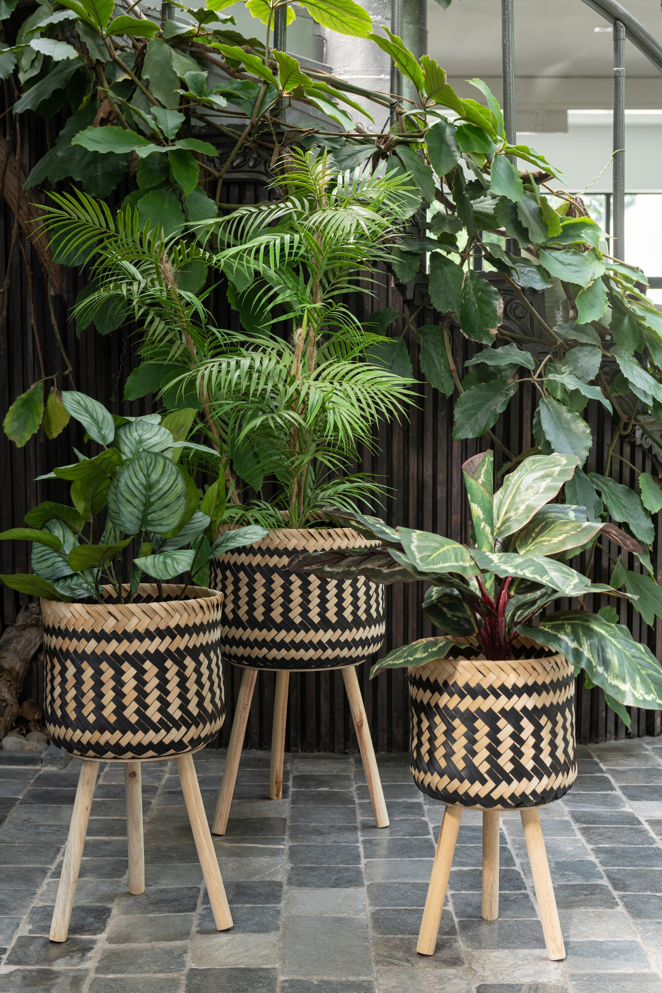 J-LINE KUNSTPLANT PAUWENPLANT IN PLASTIC POT GROEN - Tuincentrum Lopik
