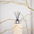 HOUSEVITAMIN REED DIFFUSER GLAS/VEZEL 50ML GO SPARKLE