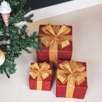 HOUSEVITAMIN SET VAN 3 LED KERSTCADEAUS POLYSTYREEN ROOD/GOUD 15/20/25 CM