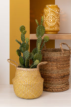 Set Of 3 Baskets Lucie Raffia Natural - Tuincentrum Lopik