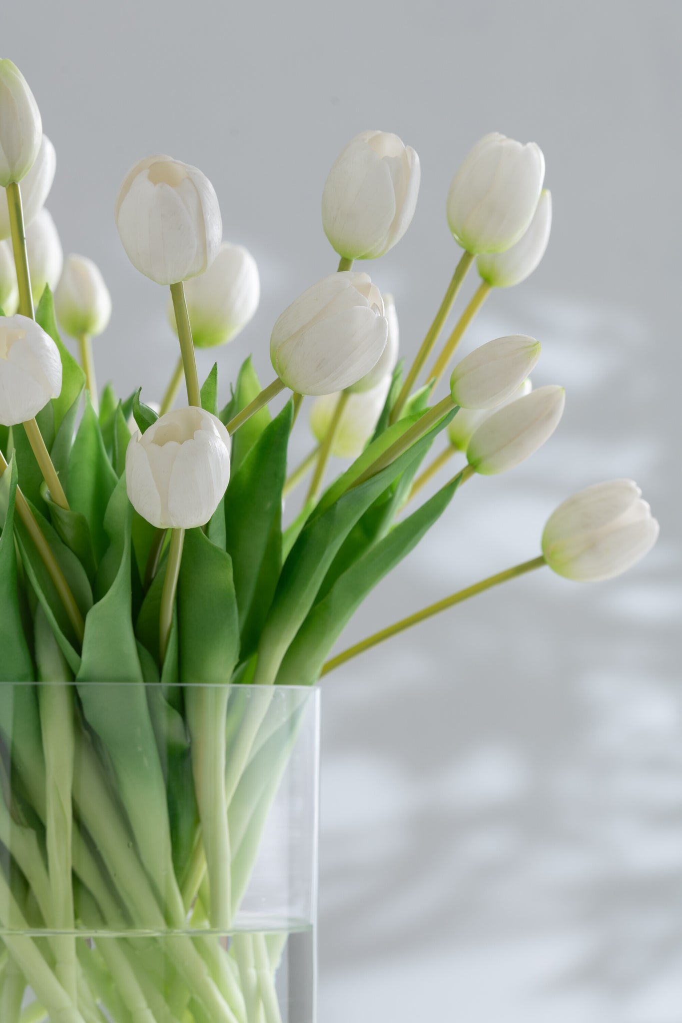 Bouquet Tulips 7Pieces Pu White Small - Tuincentrum Lopik