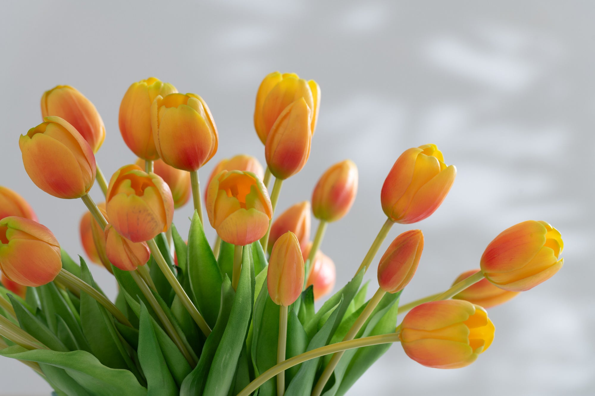 J-LINE BOUQUET TULIPS 7PIECES PU ORANGE SMALL - Tuincentrum Lopik