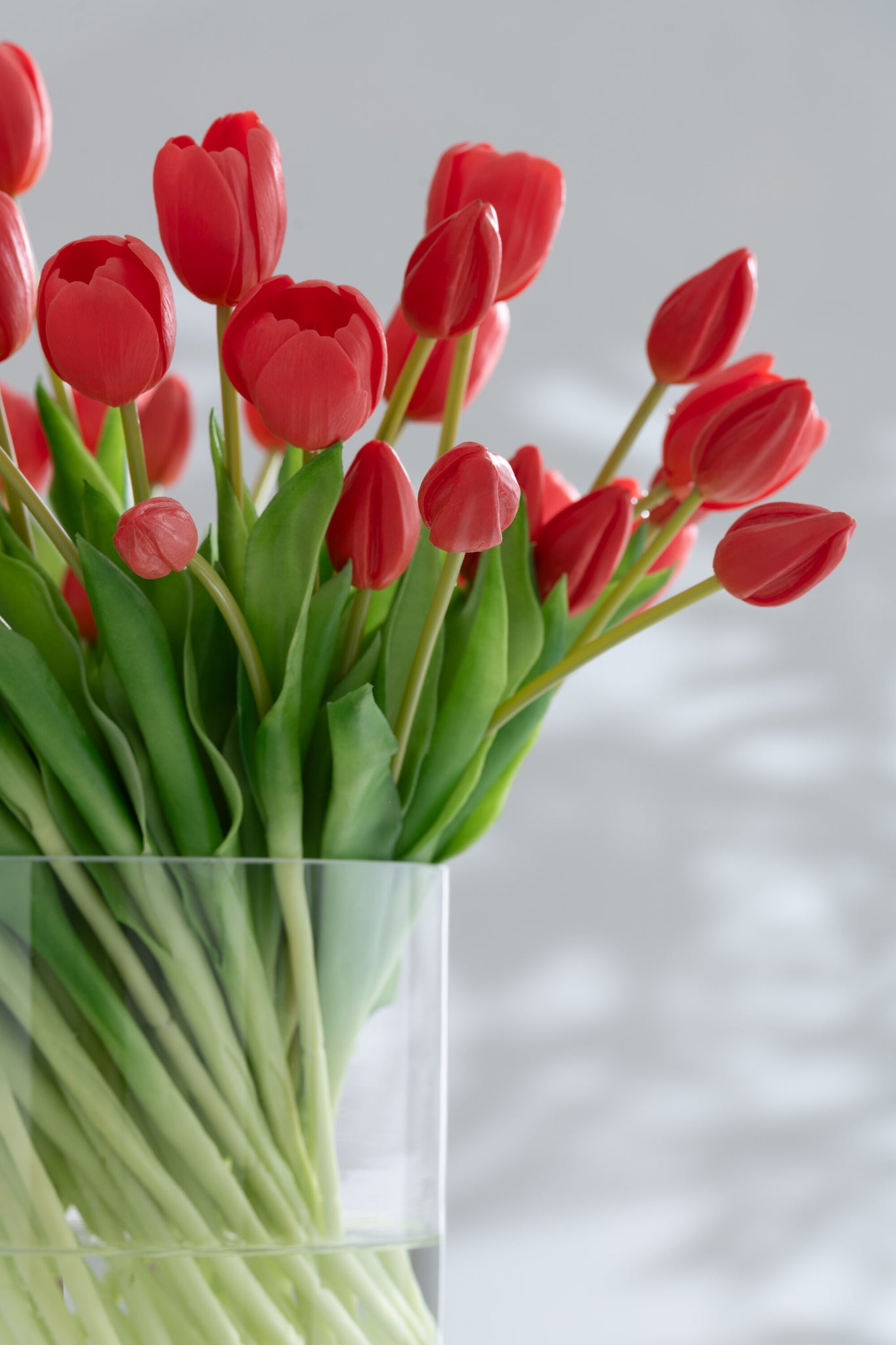 J-LINE BOUQUET TULIPS 7 PIECES PU CORAL PINK LARGE - Tuincentrum Lopik