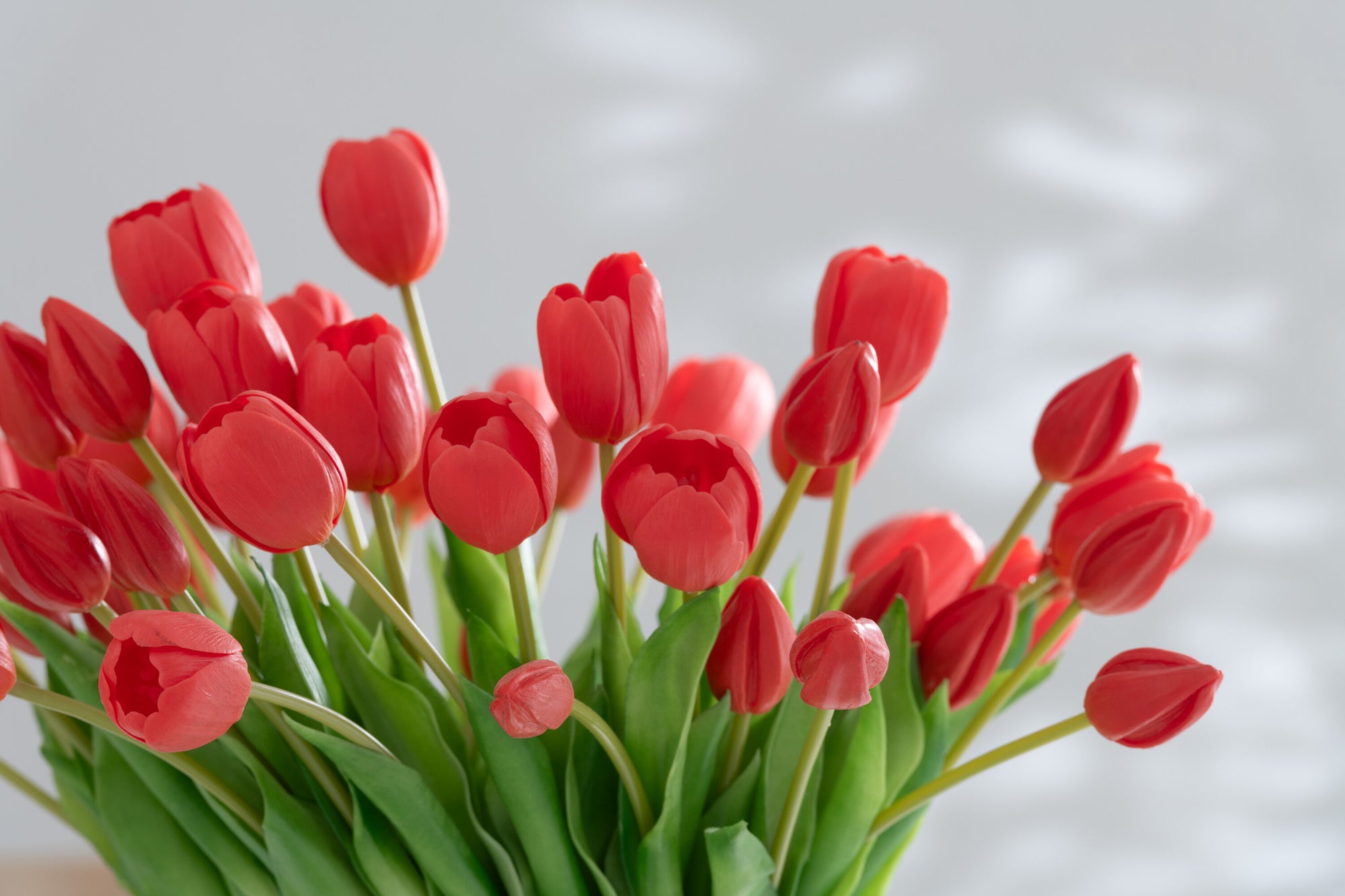 J-LINE BOUQUET TULIPS 7 PIECES PU CORAL PINK LARGE - Tuincentrum Lopik