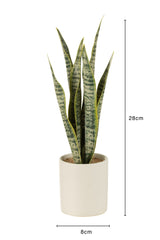 J-LINE KUNSTPLANT SANSEVIERIA IN PVC POT GROEN SMALL - Tuincentrum Lopik