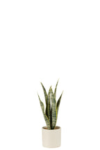 J-LINE KUNSTPLANT SANSEVIERIA IN PVC POT GROEN SMALL - Tuincentrum Lopik