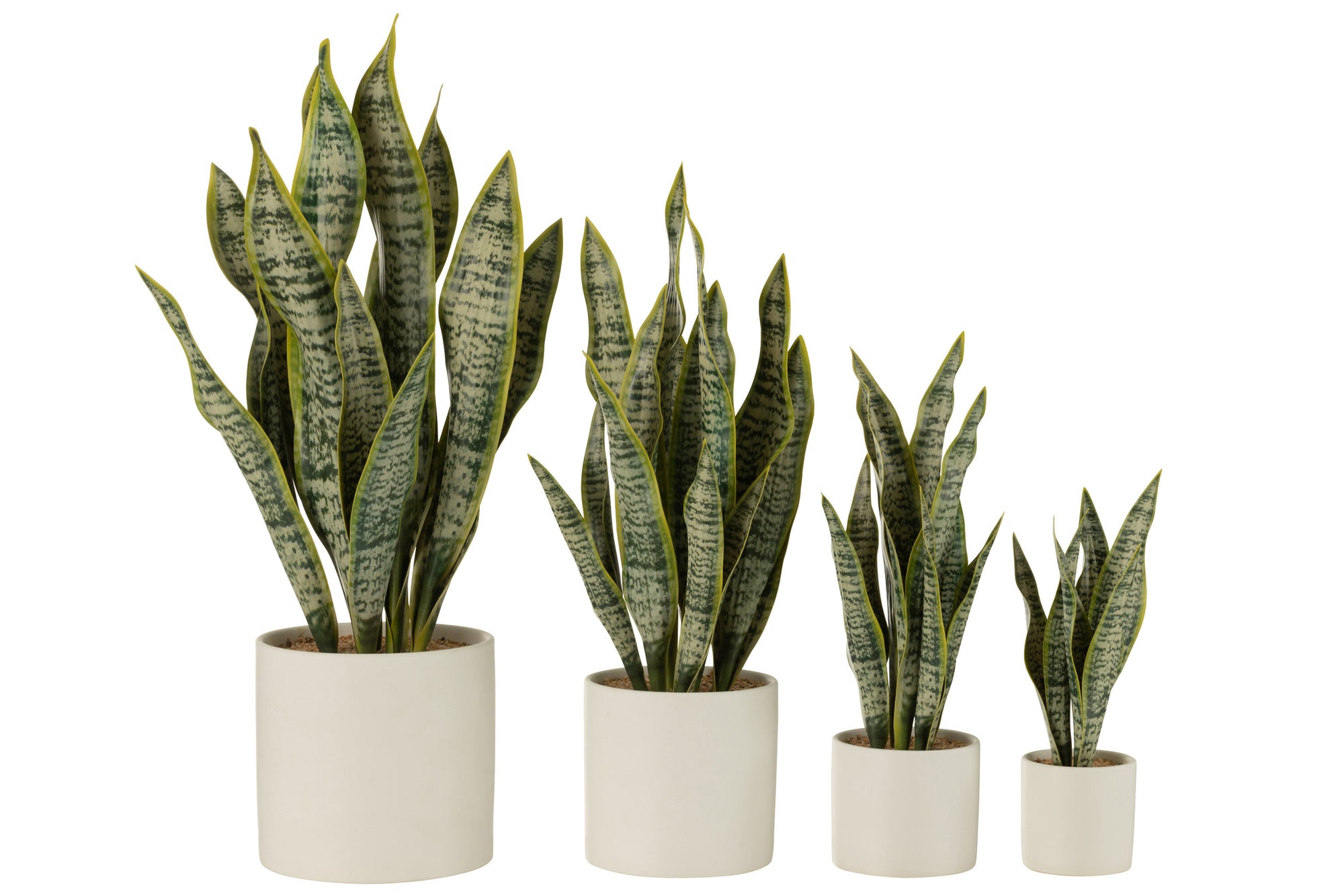 J-LINE KUNSTPLANT SANSEVIERIA IN PVC POT GROEN EXTRA LARGE - Tuincentrum Lopik