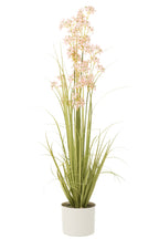 J-LINE ALLIUM IN POT PLASTIC GREEN/LIGHT PINK LARGE