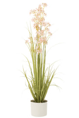 J-LINE ALLIUM IN POT PLASTIC GREEN/LIGHT PINK LARGE