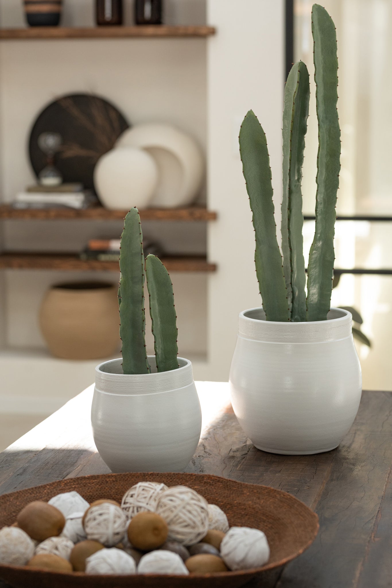 J-LINE KUNSTCACTUS 3-DELIG IN PLASTIC POT GROEN SMALL - Tuincentrum Lopik