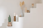 J-LINE KUNSTCACTUS 3-DELIG IN PLASTIC POT GROEN SMALL - Tuincentrum Lopik