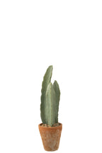 J-LINE KUNSTCACTUS 3-DELIG IN PLASTIC POT GROEN SMALL - Tuincentrum Lopik
