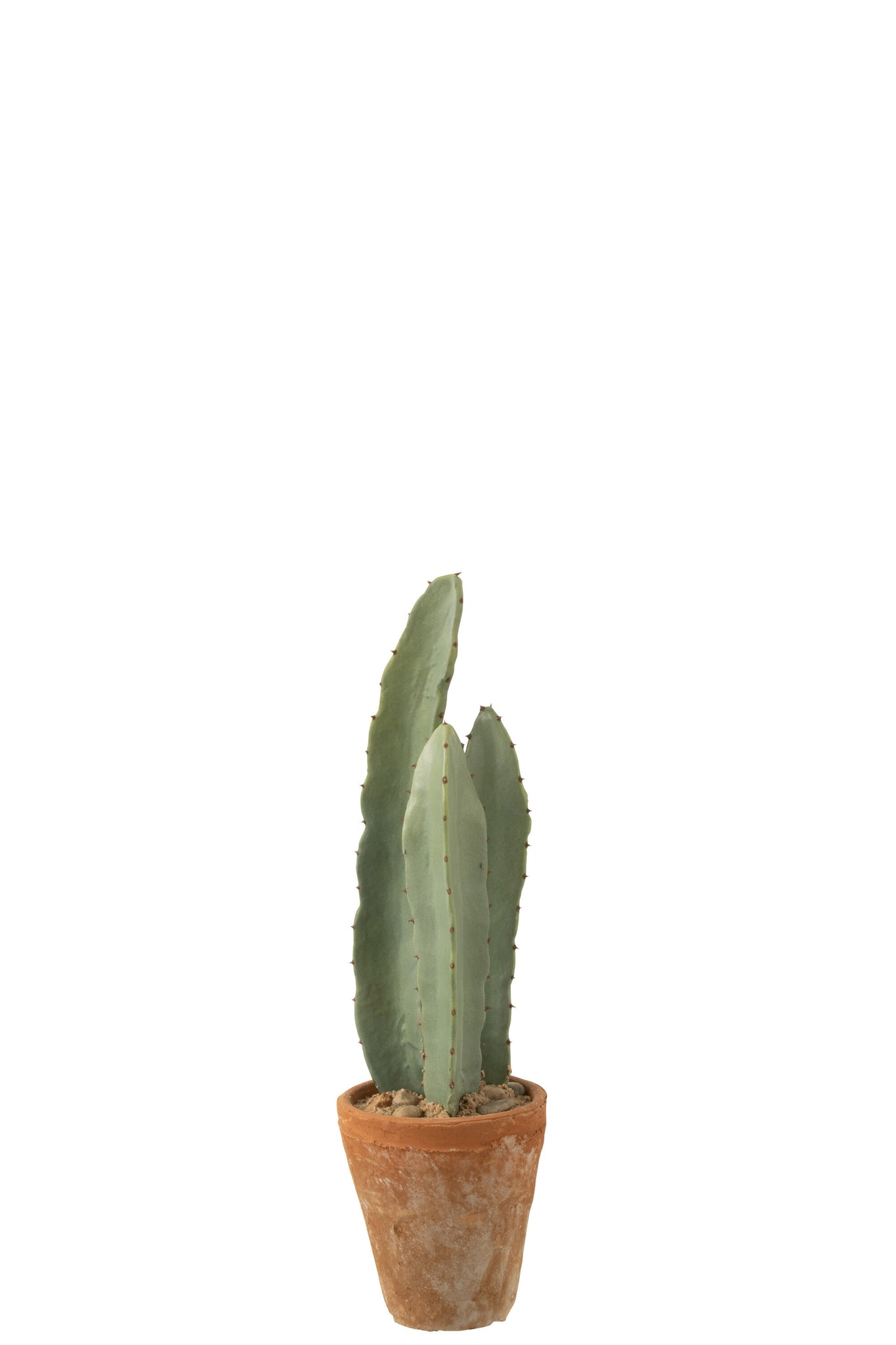 J-LINE KUNSTCACTUS 3-DELIG IN PLASTIC POT GROEN SMALL - Tuincentrum Lopik