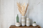 J-LINE KUNSTCACTUS 3-DELIG IN PLASTIC POT GROEN LARGE - Tuincentrum Lopik