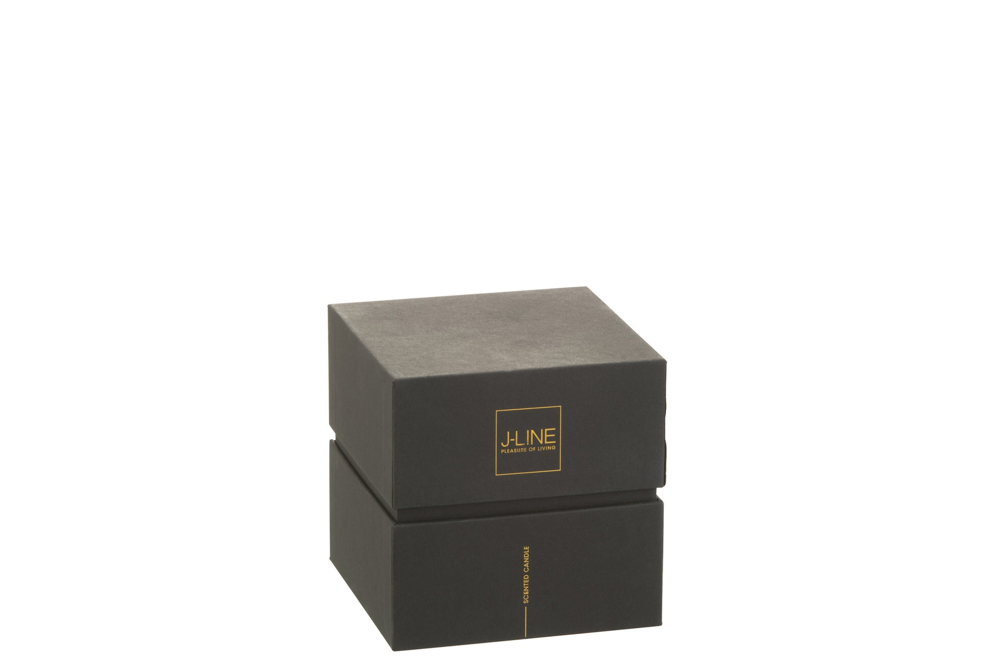 J-LINE GEURKAARS NOA HERBAL SERENITY GREEN SMALL - 35H - Tuincentrum Lopik