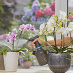 PLANTENSPUIT 1 LITER
