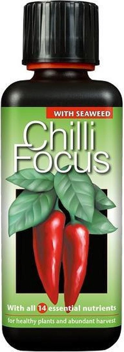 CHILLI & PEPPER FOCUS 300 ML