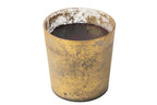 J-LINE GEURKAARS DELUXE GLASS GOLD/BLACK LARGE - 140H - Tuincentrum Lopik