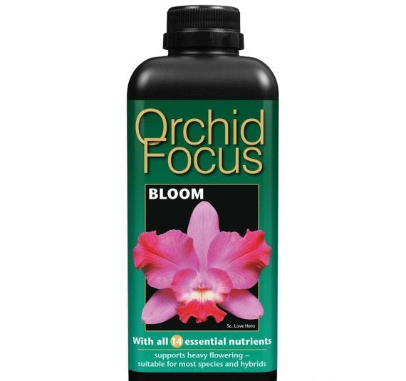 ORCHID FOCUS BLOOM  1 LITER