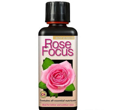 ROSE FOCUS 300 ML