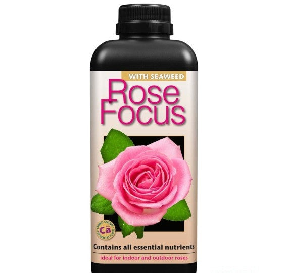 ROSE FOCUS 1 LITER