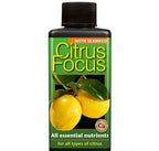 CITRUS FOCUS 300 ML