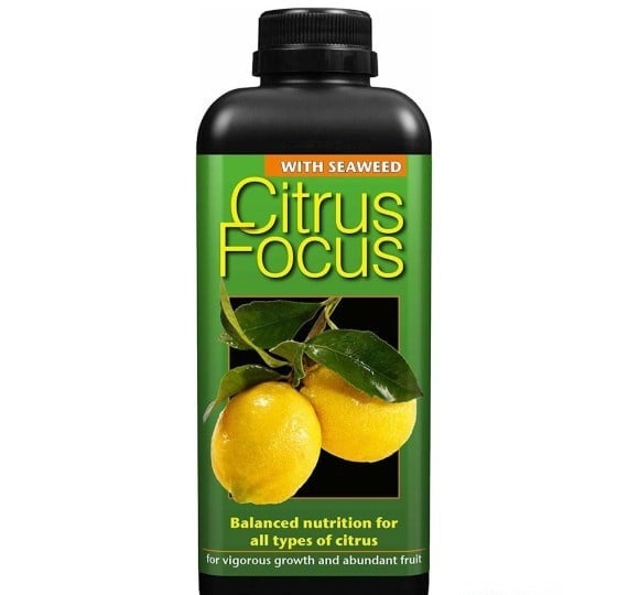 CITRUS FOCUS 1 LITER