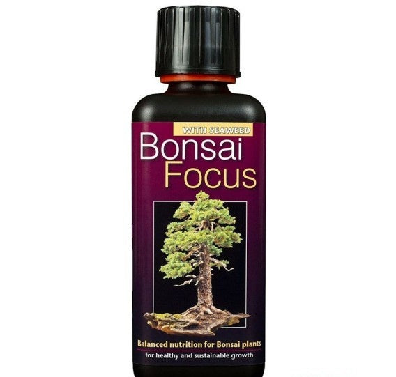 BONSAI FOCUS 300 ML