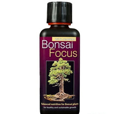 BONSAI FOCUS 300 ML
