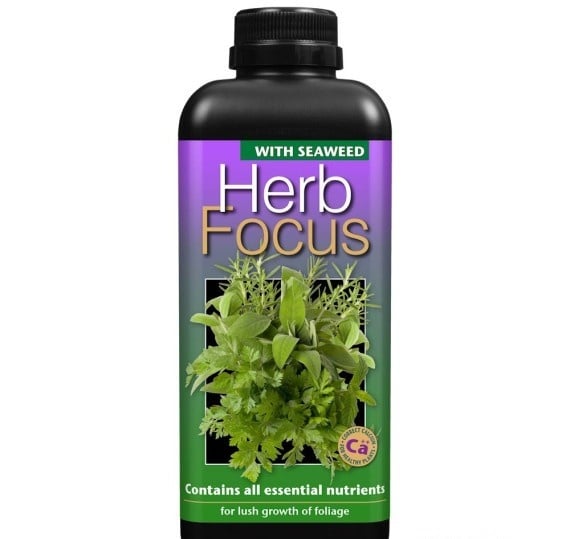 HERB FOCUS 1 LITER